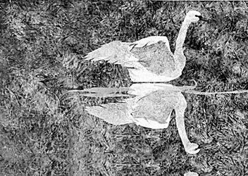 20054915391118820.jpg