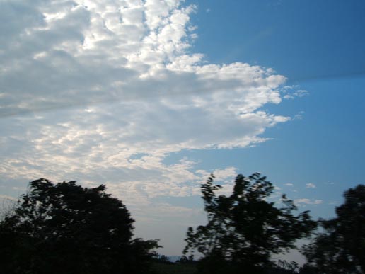 2005522026627209.jpg