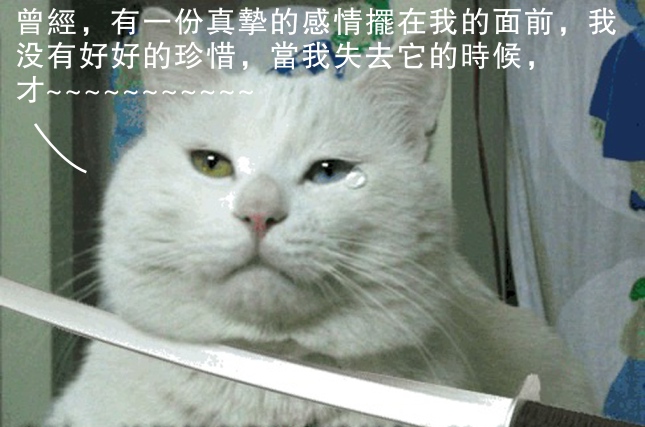 20055712504133020.jpg