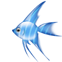 2005619362078974.gif