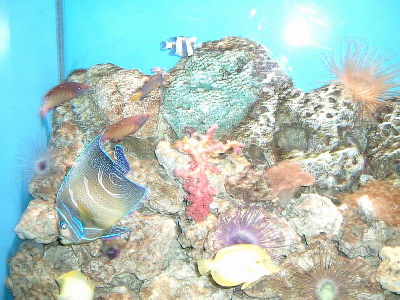 20056212235686906.jpg