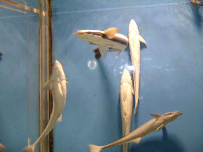 2005621224290021.jpg