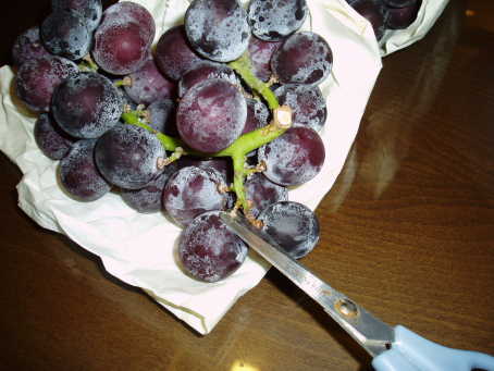 200562621371726779.jpg