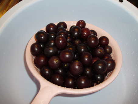 200562621381375875.jpg
