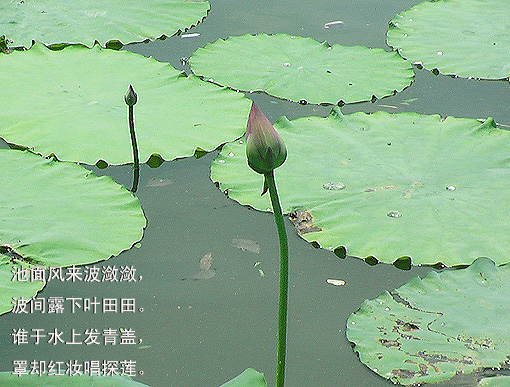 200571921233194886.jpg