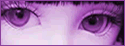2006-3/200638451453888.gif