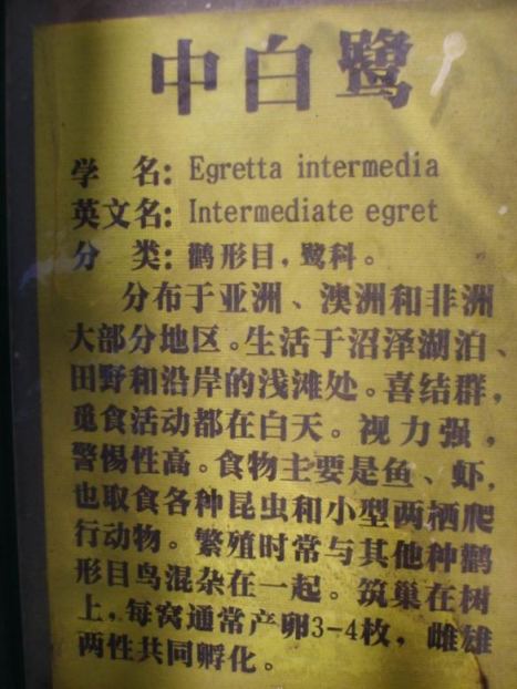 2007-1/2007131083357599.jpg
