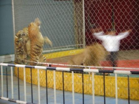 2007-1/20071413544962110.jpg