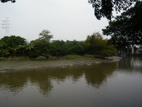 С 20071118 068.jpg