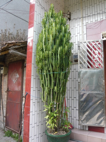С 20071118 050.jpg