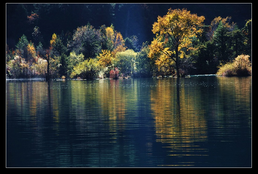 dsc_0449a.jpg