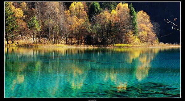 dsc_0822a.jpg