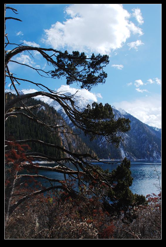 dsc_0707a.jpg