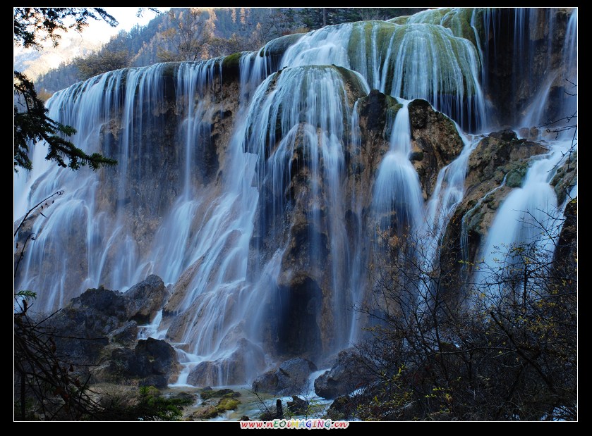 dsc_0978a.jpg