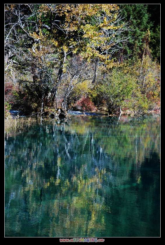 dsc_0686a.jpg