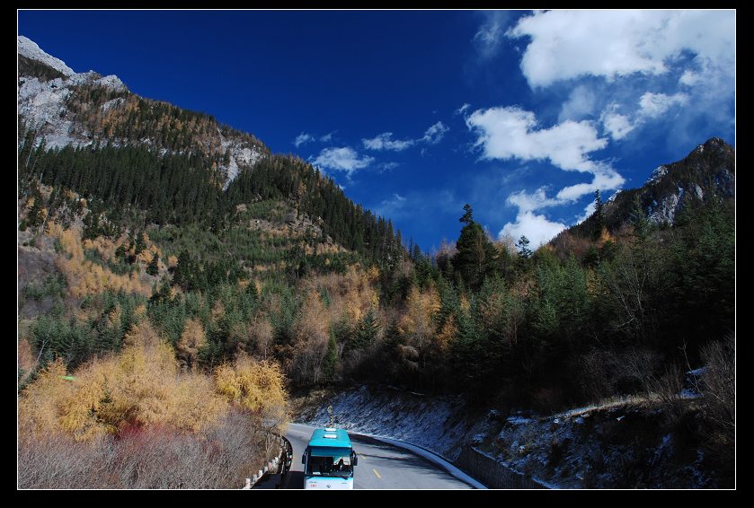 dsc_0800a.jpg