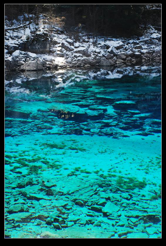 dsc_0774a.jpg