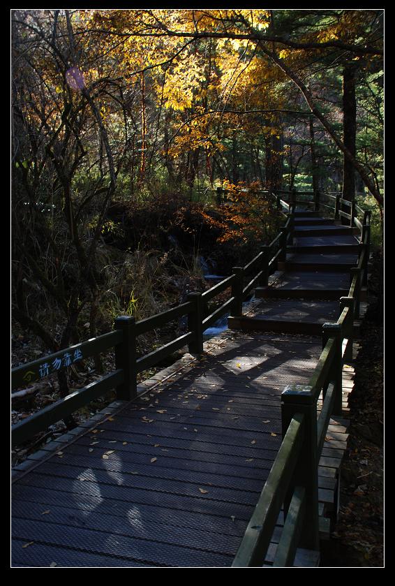 dsc_0875a.jpg