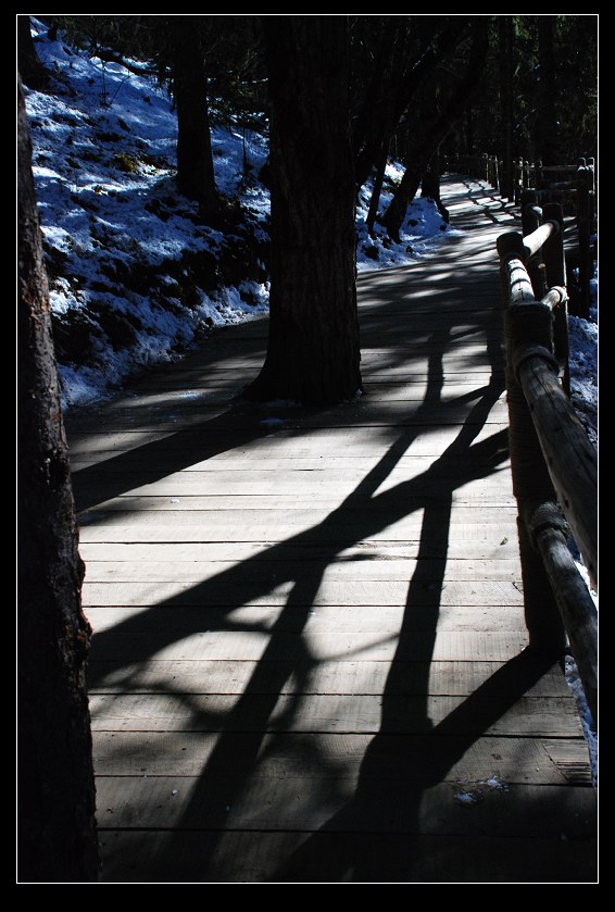 dsc_0223a.jpg