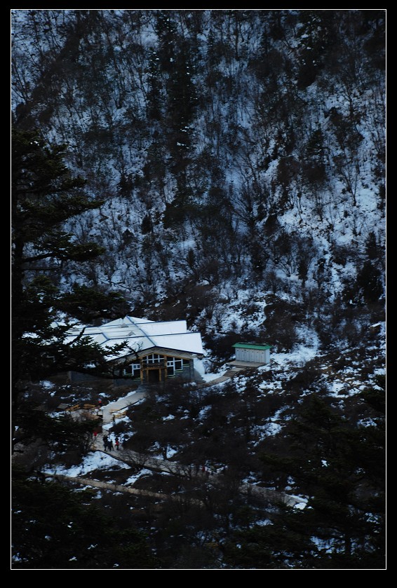 dsc_0248a.jpg