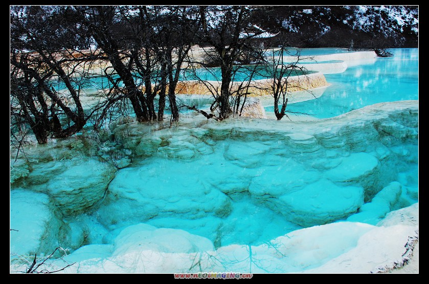 dsc_0293a.jpg