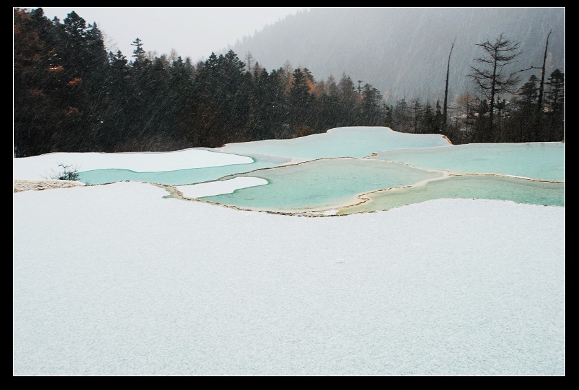 dsc_0335a.jpg