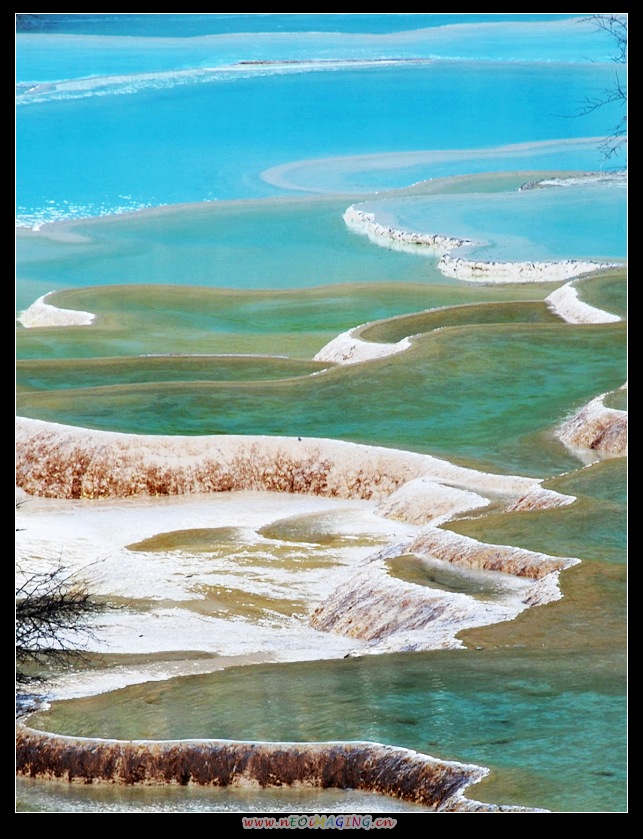 dsc_0311a.jpg