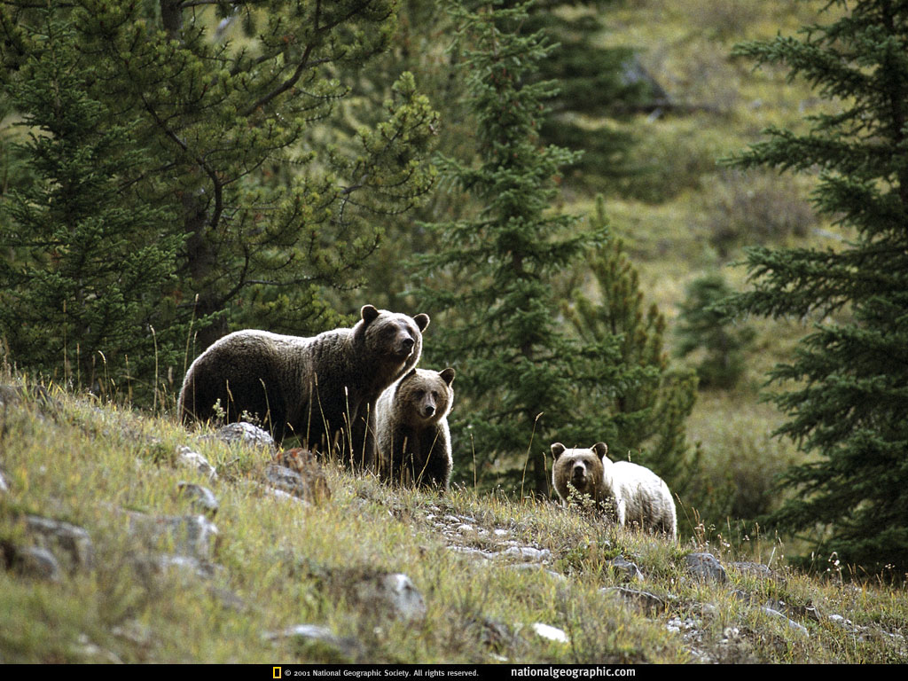 banff national park, canada2.jpg