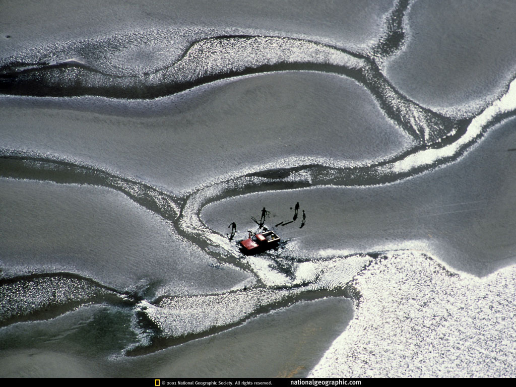cape york peninsula, australia .jpg