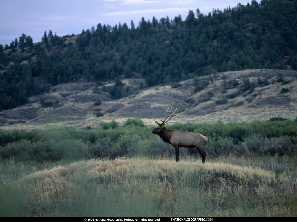 charles m. russell national wildlife refuge, monta