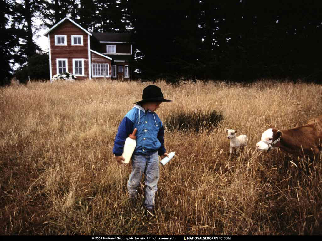 curry county, oregon.jpg