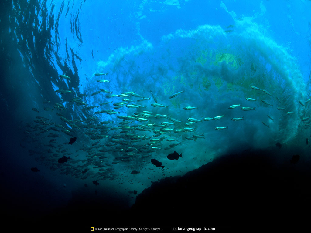 darwin island, galpagos islands, ecuador.jpg