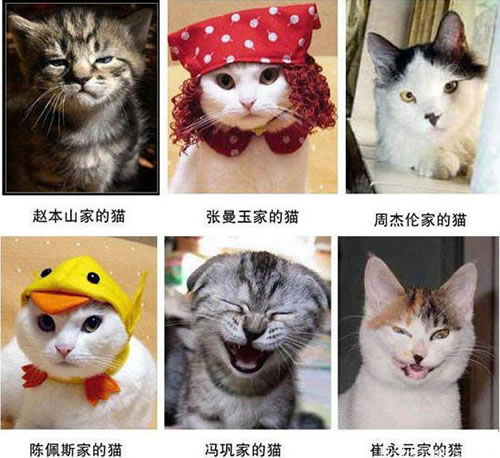 01.jpg
