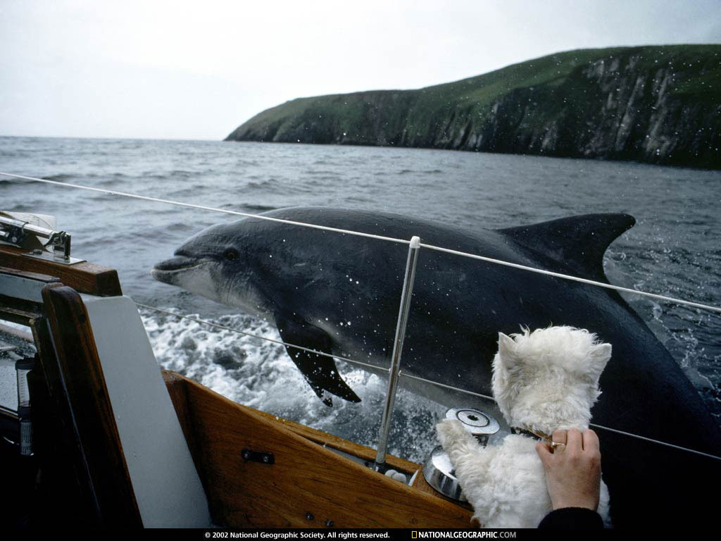 dingle bay, ireland.jpg