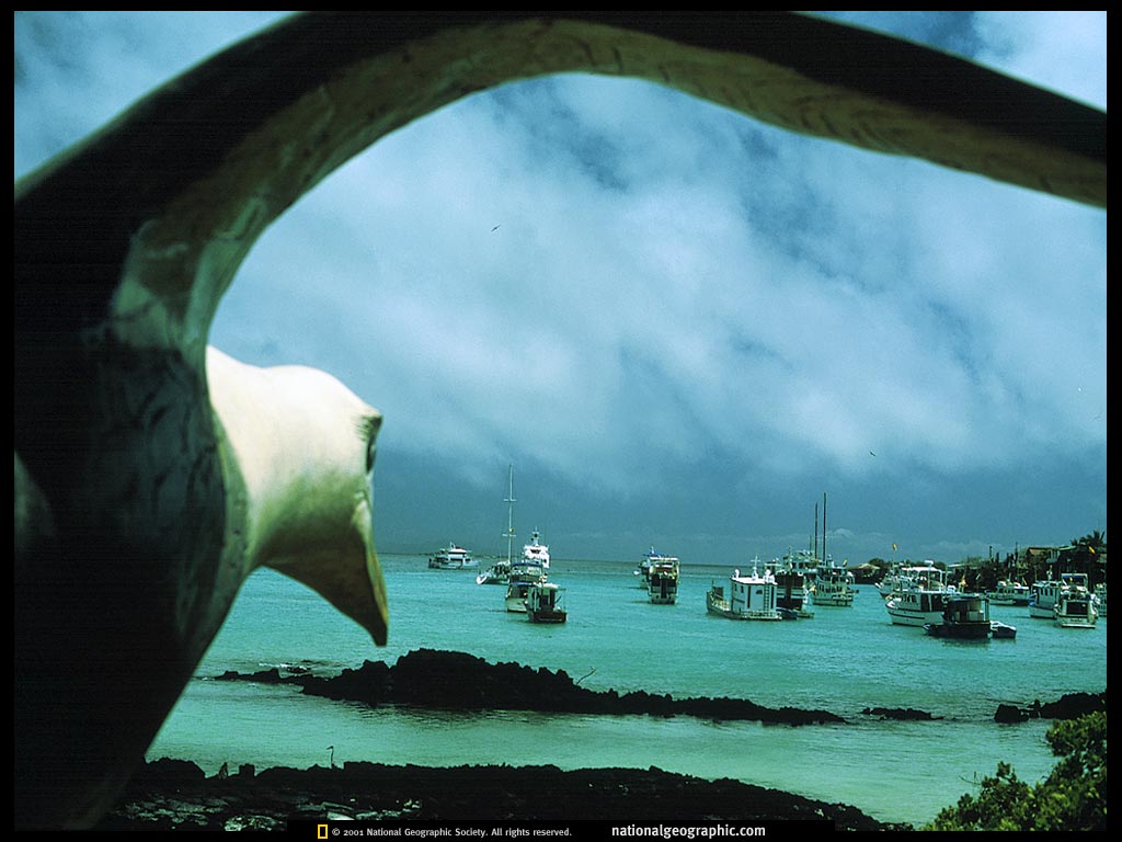 galpagos islands, ecuador .jpg