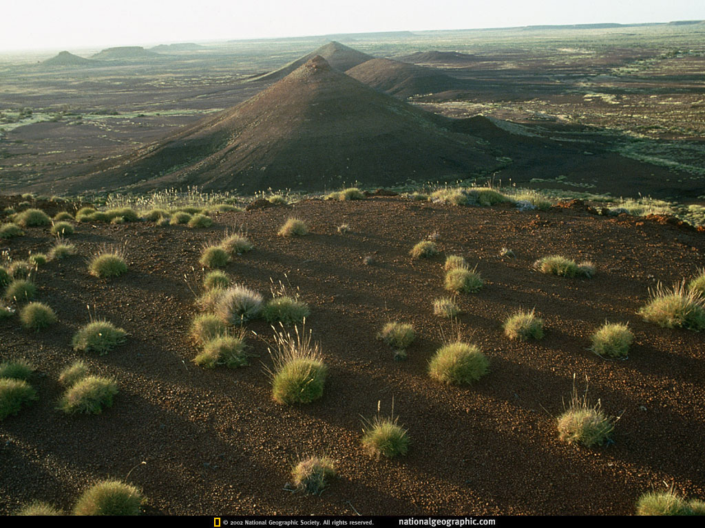 great sandy desert, western australia.jpg