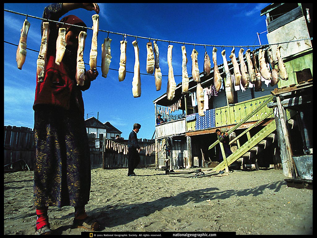 gyzylsuw island, turkmenistan.jpg
