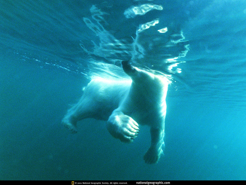 hudson bay, canada.jpg