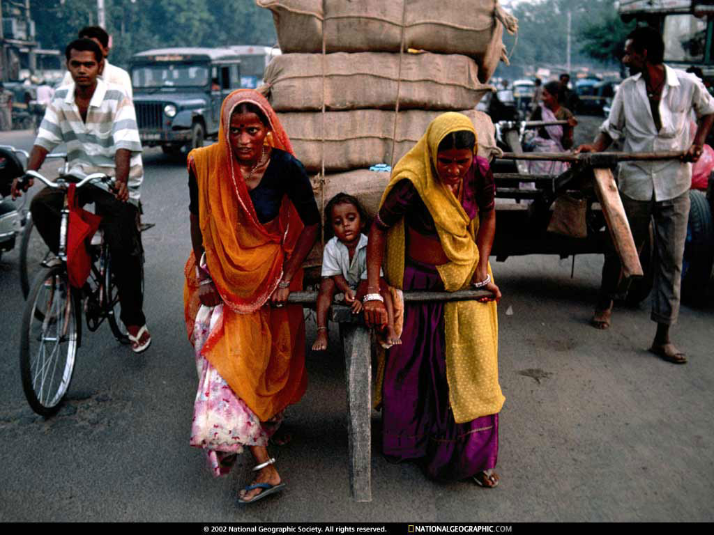 india1.jpg