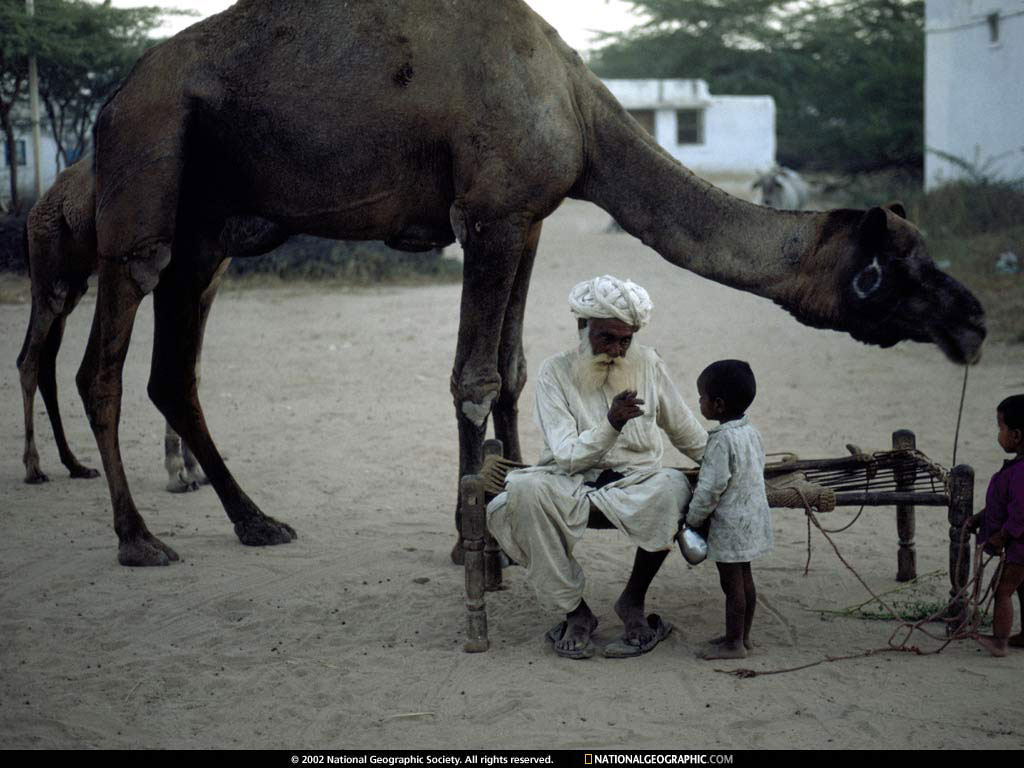 jodhpur, india.jpg