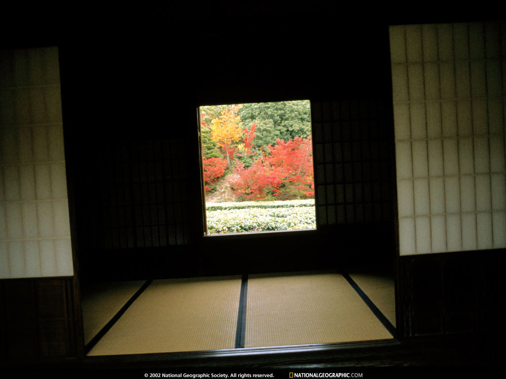 kyoto, japan1.jpg