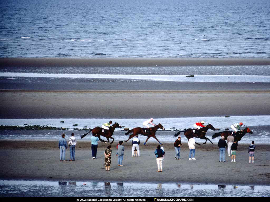 laytown, ireland.jpg