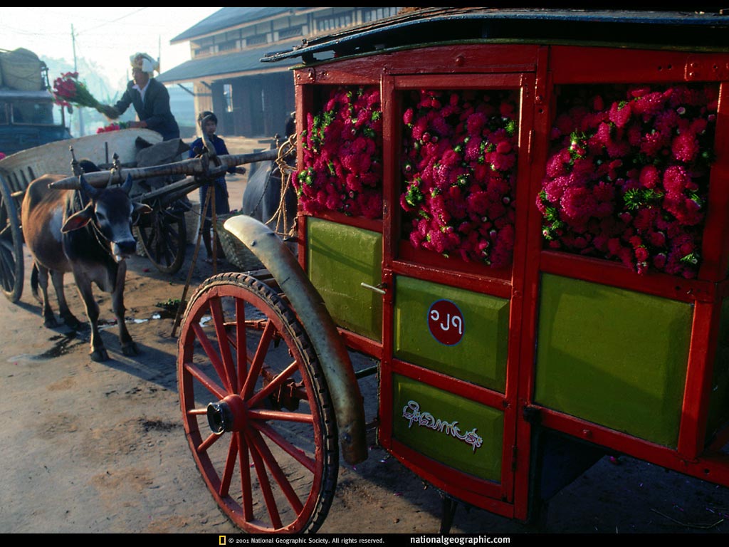 maymyo, myanmar (burma).jpg