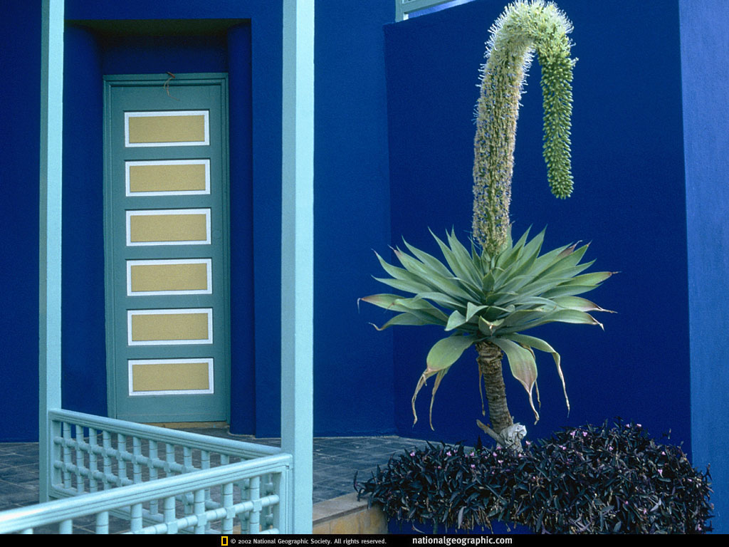 marrakesh, morocco.jpg
