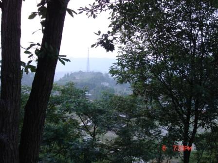 2007-5/20075231147526001.jpg