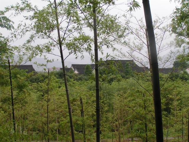 2007-6/200761513304180000.jpg