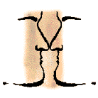 2007-6/2007618944245521.gif