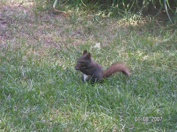2007_08020136.jpg