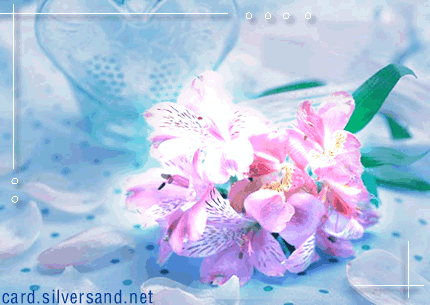 01.gif