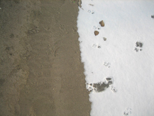 Ƭ2008.1.09 009.jpg
